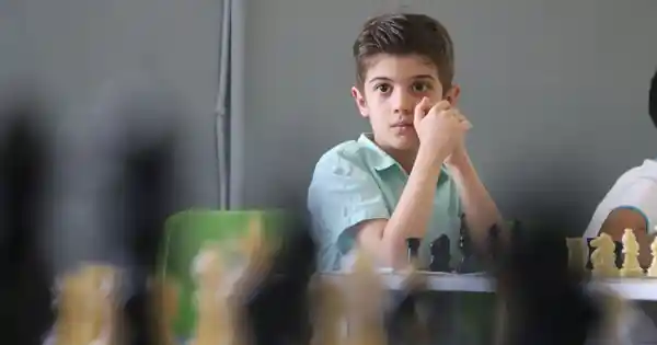 sport plus + tv shakhmat-pokrik-einstein 1