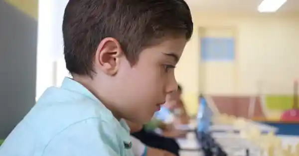 sport plus + tv shakhmat-pokrik-einstein 3